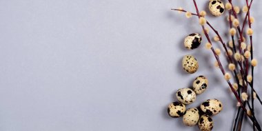 Gri arka planda söğüt dallarının ve bıldırcın yumurtalarının güzel paskalya kompozisyonu..