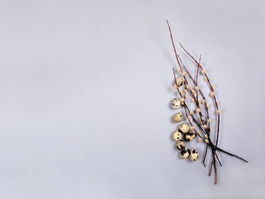 Söğüt dallarının ve gri bıldırcın yumurtalarının doğu kompozisyonu..