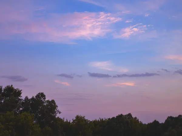 Die schönen rosa Wolken am Himmel am Sonnenuntergang mit den Wipfeln der Bäume. — Stockfoto