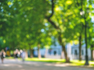 Yeşil parktaki yolun soyut yaz arkaplanı, zayıf odaklanma.