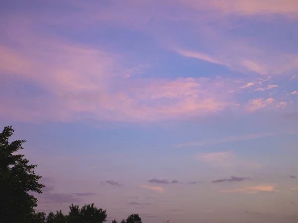 Hermoso Cielo Rosa Violeta Puesta Sol Con Las Copas Los — Foto de Stock