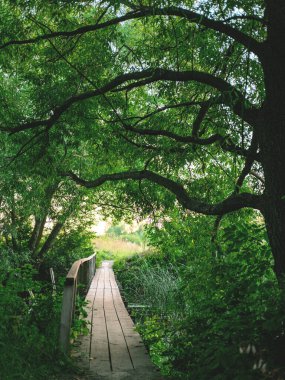 Issız nehir boyunca el yapımı ahşap köprünün huzurlu manzarası. Yazın güzel arka planı kırsalda dinleniyor..