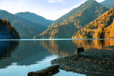 Dağdaki Ritsa Gölü 'nün güzel manzarası tepelerdeki renkli sonbahar ağaçları ve sudaki yansıması, sonbahar manzarası..