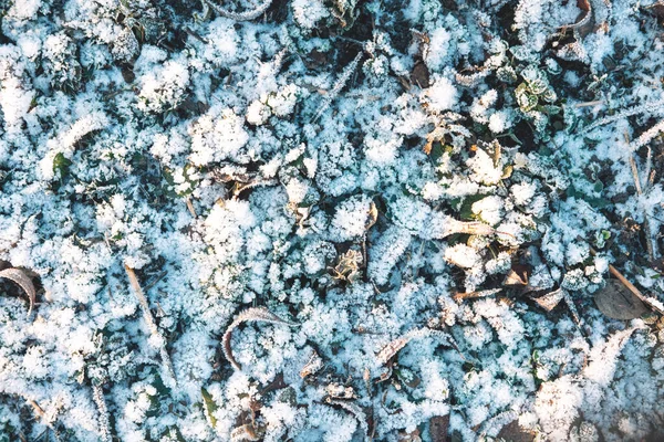 Die malerische Nahaufnahme der schneebedeckten Lichtung in der Sonne, Winterhintergrund. — Stockfoto