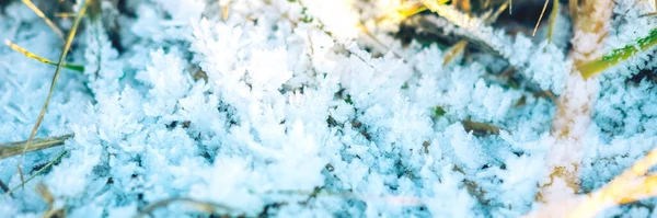 Den pittoreska närbild av snöig glänta i solen, vinter bakgrund. — Stockfoto