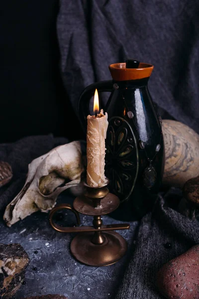 Caveira de cão velho, jarro e pedras na mesa das bruxas. Bebida encantada com pétalas de flores — Fotografia de Stock