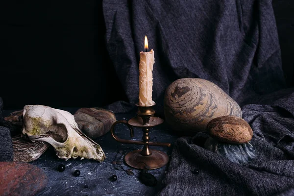 Old dog skull, burning candle, wooden runes and stones on the witch table.