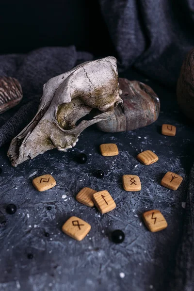 Cráneo de perro viejo, runas de madera y piedras en la mesa de brujas. —  Fotos de Stock