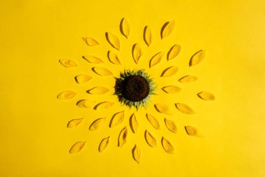 Ayçiçekli yaratıcı tasarım ve sarı arka planda taç yaprakları