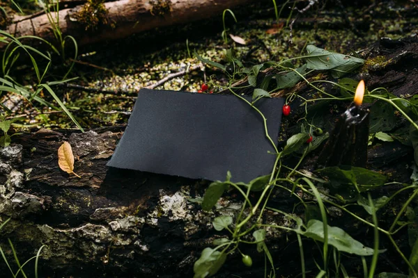 Černé řemeslo papír maketa, černá svíčka na pozadí lesní magie přírody — Stock fotografie