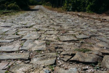 Dağlardaki yol büyük kahverengi bir kaldırım taşından uzaklaşıyor.