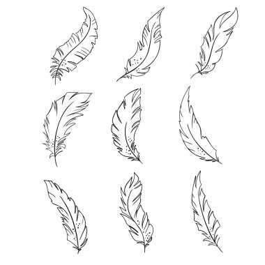 Kuş tüyü. Logo vektörü seti için siyah ve beyaz tüy silueti
