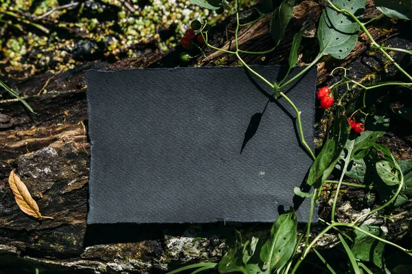 Černé řemeslo papír mokup šablony na pozadí lesní magie přírody — Stock fotografie