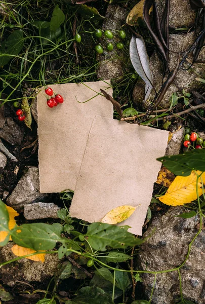 Řemeslný papír mokup šablony na pozadí lesní magie podzimní přírody — Stock fotografie