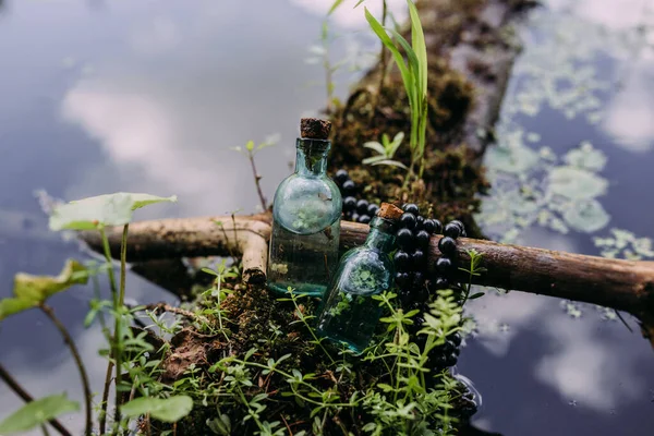 Glazen flessen zijn gevuld met magische ingrediënten, elixer. Mysterieus bos. — Stockfoto