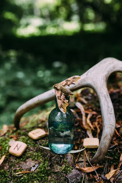 Garrafas de vidro estão cheias de ingredientes mágicos, poção. Floresta misteriosa. — Fotografia de Stock