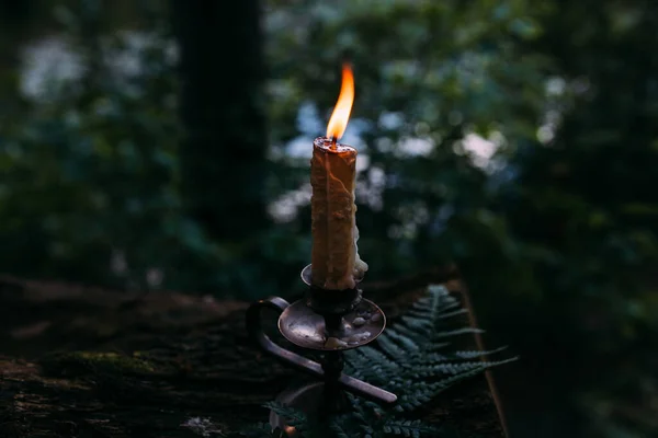 Bougie allumée dans une forêt enchantée. Concept occulte, ésotérique. — Photo