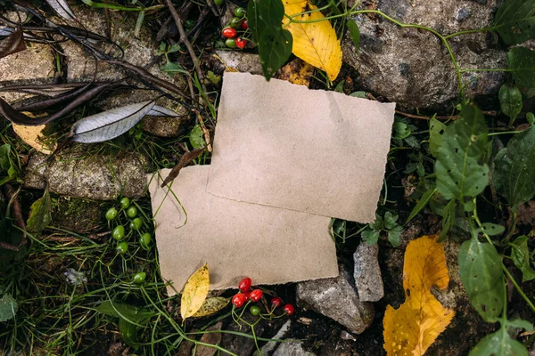 Řemeslný papír mokup šablony na pozadí lesní magie podzimní přírody — Stock fotografie