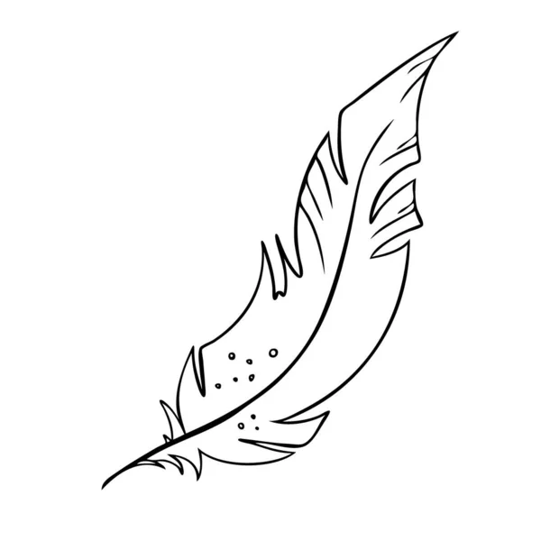 Ptačí pírko. Černá a bílá silueta pírka pro vektorovou sadu loga — Stockový vektor