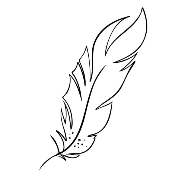 Pluma de pájaros. Silueta de plumas en blanco y negro para el conjunto de vectores de logotipo — Vector de stock