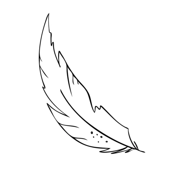 鸟儿的羽毛。Black and white feather silhouette for logo vector set — 图库矢量图片