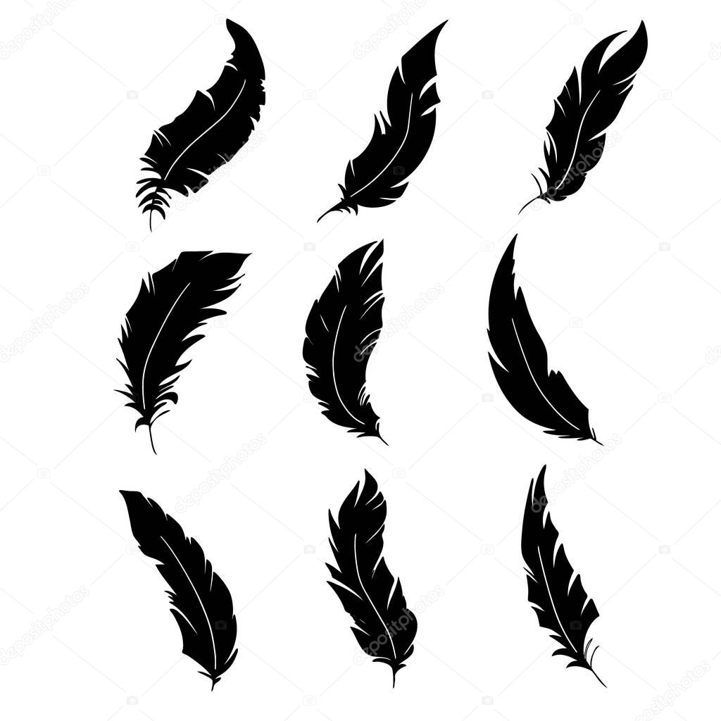 Feather of birds. Black feather silhouette for logo vector set