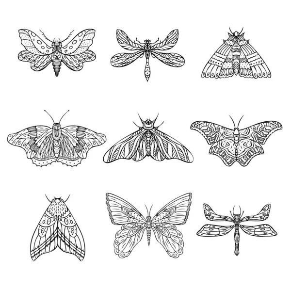 Vektör gece kelebekleri, güveler. El çizimi illüstrasyon. — Stok Vektör