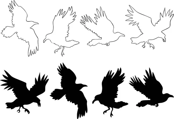 Набор реалистичных векторных силуэтов ворона для икон. Ручной стиль — стоковый вектор