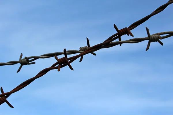 Barb wire — Stock Photo, Image