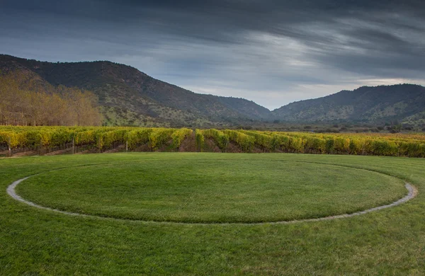 Héliport dans le vignoble — Photo