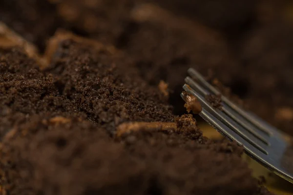Çikolatalı kek yeme — Stok fotoğraf