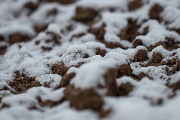Снег Песке — стоковое фото