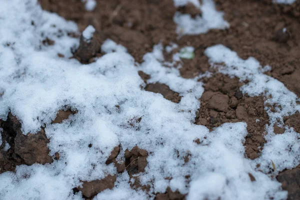 Снег Коричневым Песком — стоковое фото