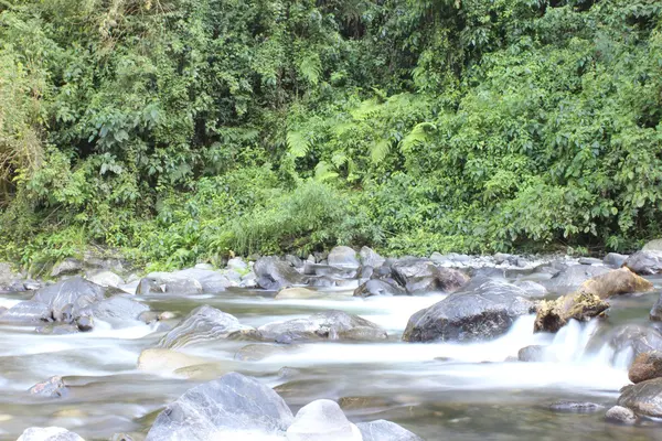 Río — Foto de Stock