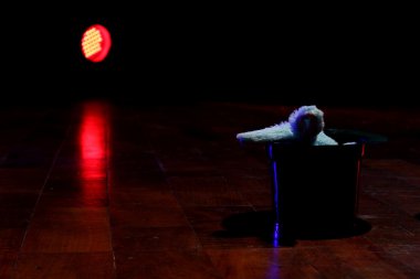 Gale ve tavşan sihirbaz