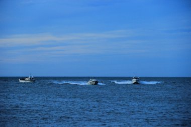 Denizde yelkenli tekneler