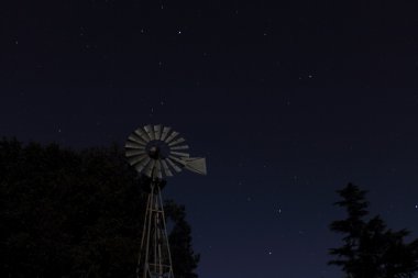 Zencinde yıldızlar