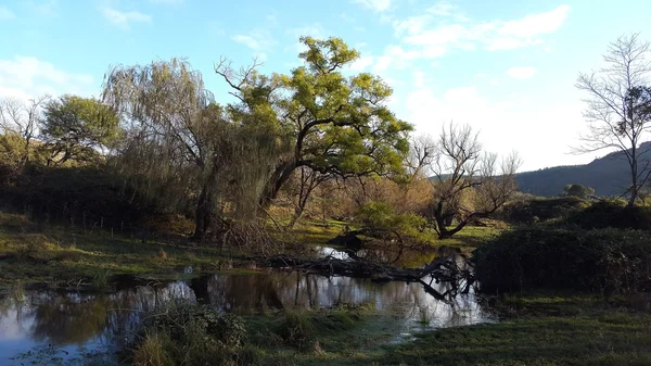 Río natural — Foto de Stock