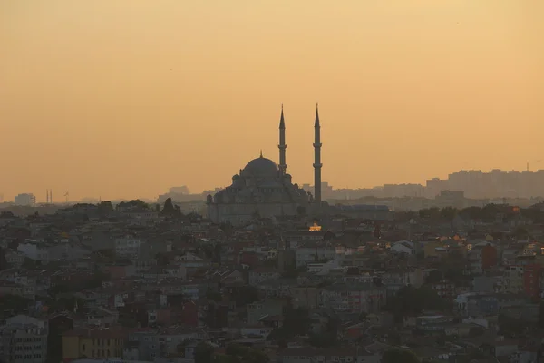 蓝色清真寺在日落 — 图库照片