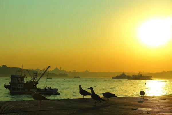 Bosphorus a la hora dorada — Foto de Stock