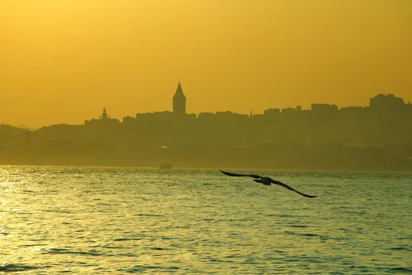 Bosphorus na hora de ouro — Fotografia de Stock