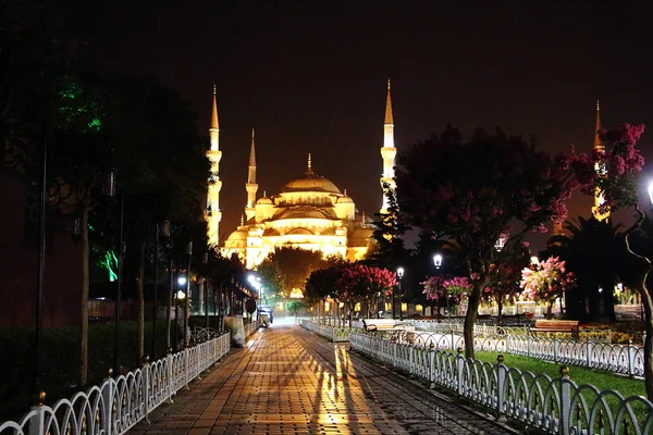 Mesquita azul — Fotografia de Stock