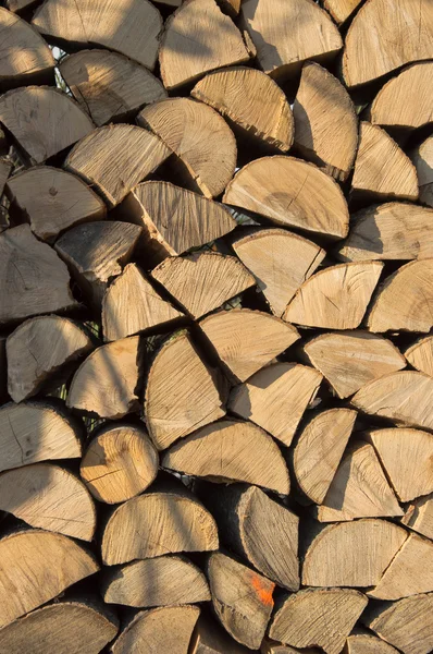Сухое, потрескавшееся дерево, готовое к заготовке дров зимой — стоковое фото