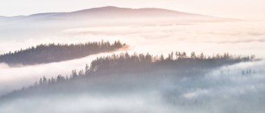 Dağ vadisindeki sis ağaçların arasında hareket ediyor. Güneşli bir günde dağ zirveleri yürüyüş parkurunun avantajlı bir noktasından görülebiliyor..