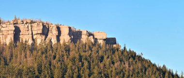 Szczeliniec Wielki, ağaçların üzerinden çıkan kum kayalarının görüntüsü. Yukarı Kretase Çağı 'ndan kalma kayalar. Tepeler boyunca bir turist yürüyüş yolu var..