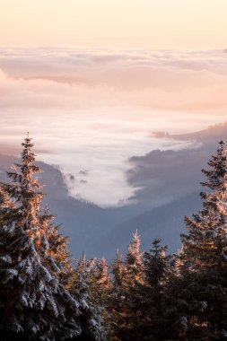 Dağ vadisinde sis, gün batımında Snieznik tepesinden manzara. Yürüyüş yolundan hafif donmuş ağaçlara ve güneşin ışınları tarafından aydınlatılan yoğun sise kadar dağ zirvelerinin arka planında iyi bir manzara..