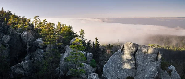 Szczeliniec Wielki 砂の岩から霧の中の谷の景色 白亜紀後期の岩石 山頂にはハイキングコースがあります — ストック写真