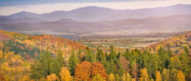 Renkli ve parlak sonbahar ormanı, dağların manzarası. Ormandaki renkli ağaçların manzarası.
