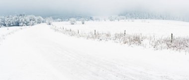 Dağ yolunda karla kaplı ağaçlarla kaplı kış manzarası. Sudetler beyaz karla kaplı. Sis dağlarda görüş mesafesini sınırlayan bulutlu bir gün..