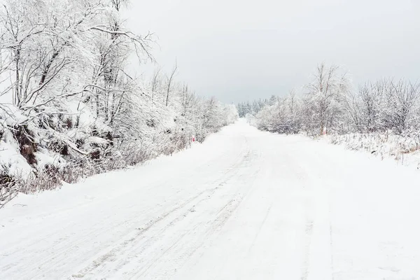 Winter Landscape Snow Covered Trees Mountain Road Sudetes Covered White — Stock Photo, Image